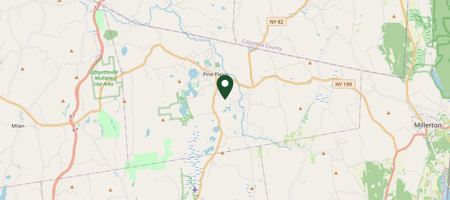 Locator map showing Pine Plains, NY, within the GXB Precision Tree Care service area in Dutchess County