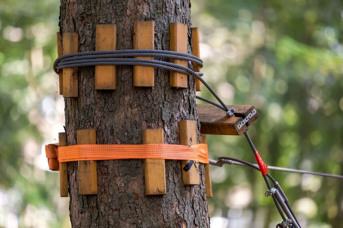 Close-up of steel cable hardware used in tree cabling and bracing support systems